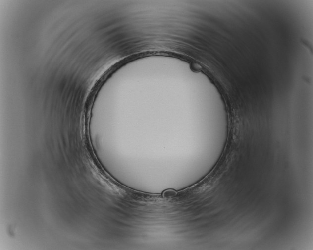 X0000103421076200809261701