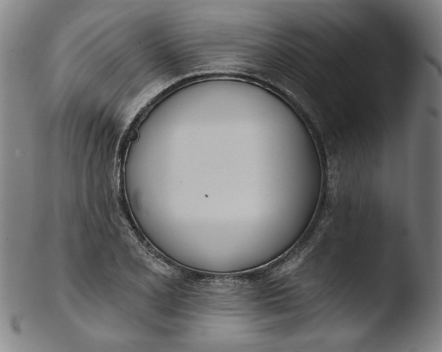 X0000103421077200809261701