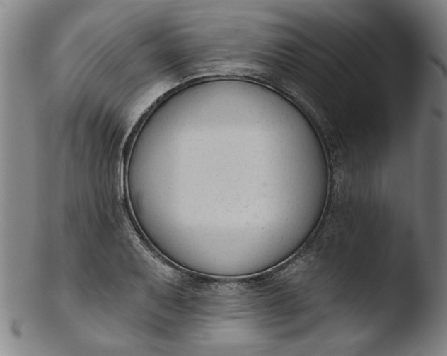 X0000103421079200809261701