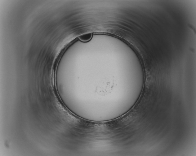 X0000103421080200809261701