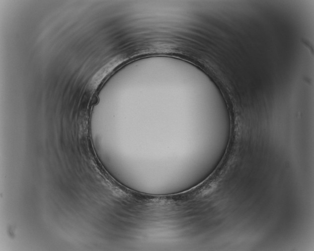 X0000103421081200809261701