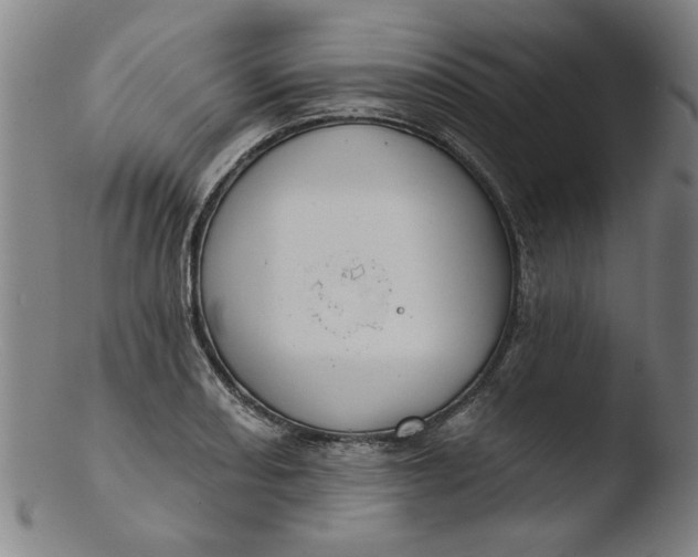 X0000103421082200809261701