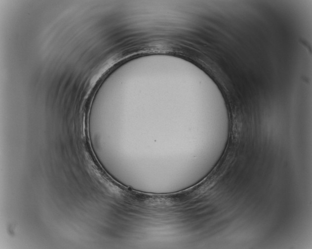 X0000103421083200809261701