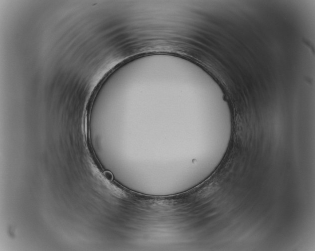 X0000103421084200809261701