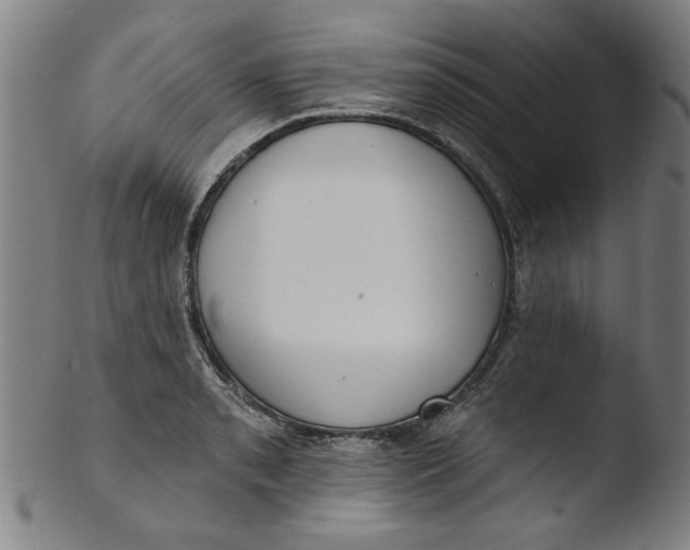 X0000103421085200809261701