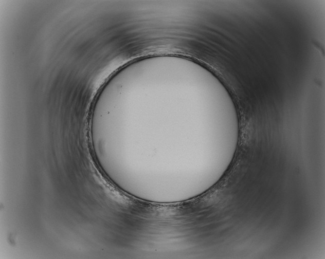 X0000103421086200809261701