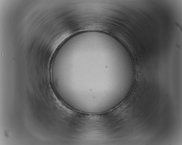 X0000103421087200809261701