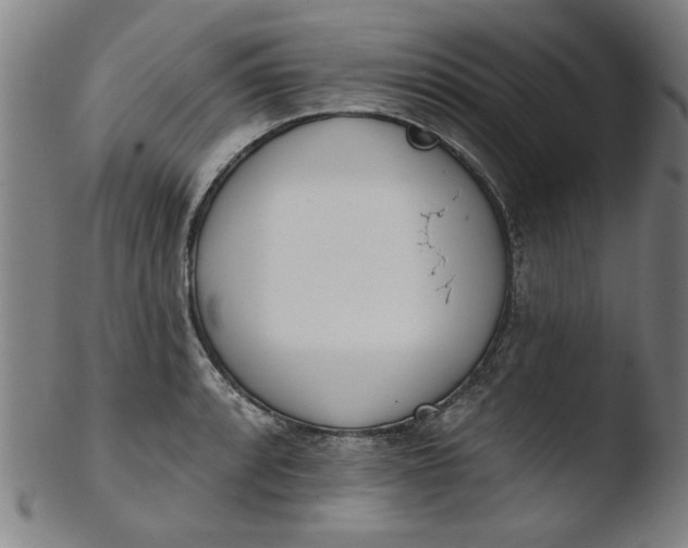 X0000103421088200809261701