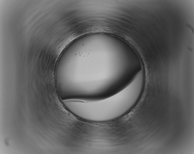 X0000103421089200809261701