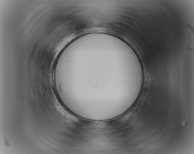 X0000103421090200809261701