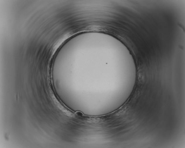 X0000103421091200809261701