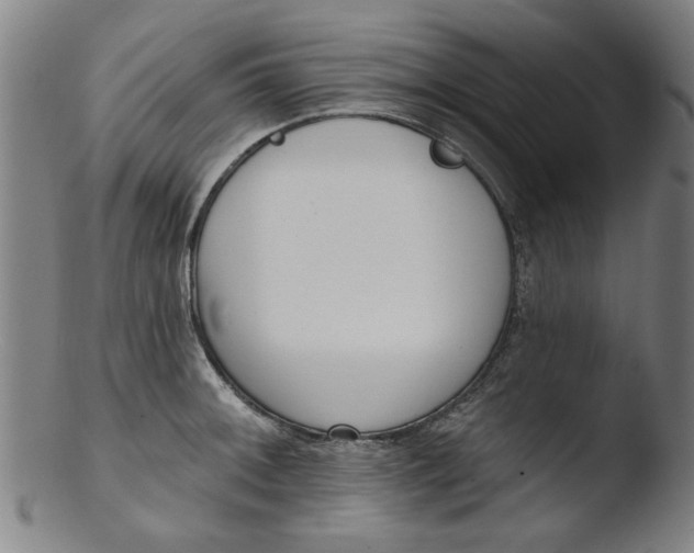 X0000103421092200809261701