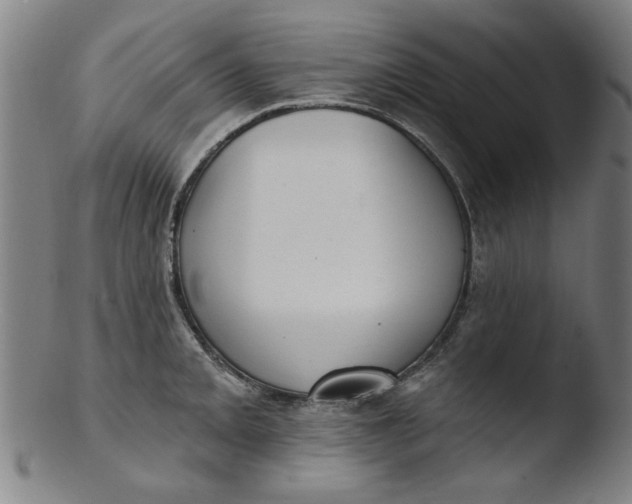 X0000103421093200809261701