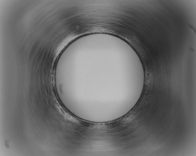X0000103421094200809261701