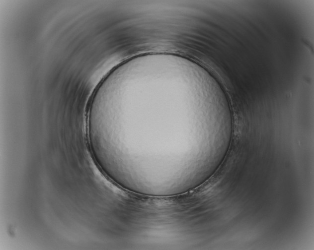 X0000103421095200809261701