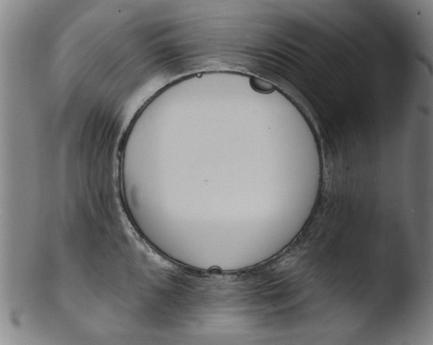 X0000103421096200809261701