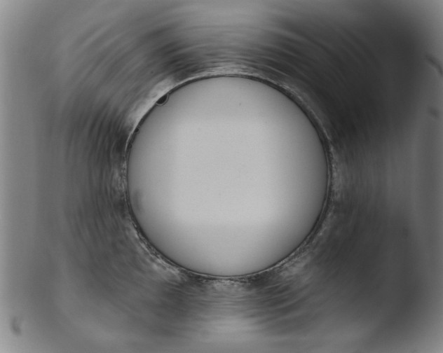X0000103421097200809261701