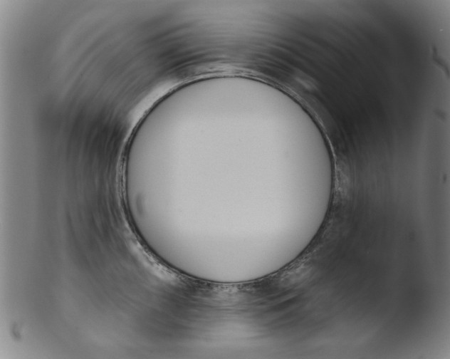 X0000103421098200809261701