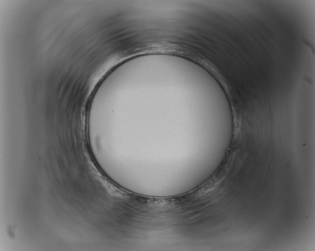 X0000103421099200809261701