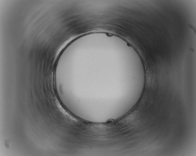 X0000103421100200809261701