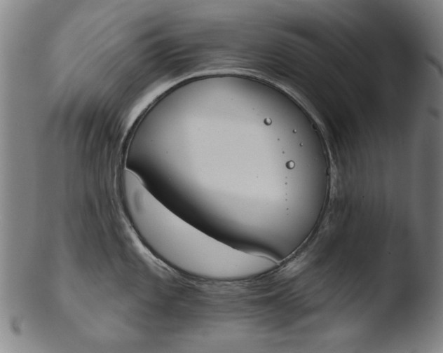 X0000103421101200809261701