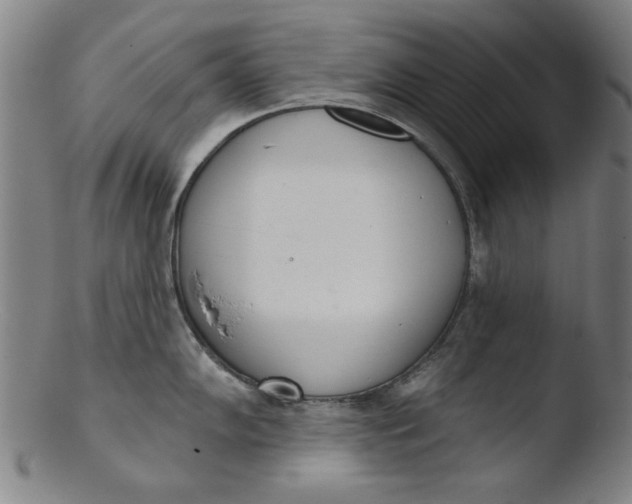 X0000103421102200809261701