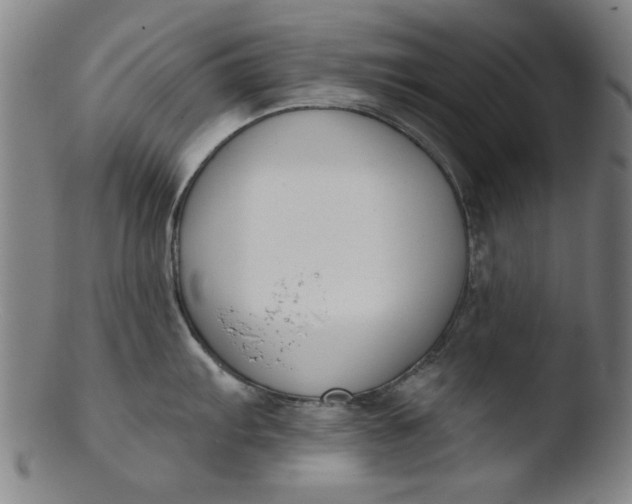 X0000103421103200809261701
