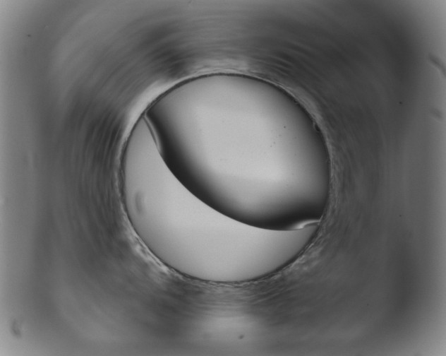 X0000103421104200809261701
