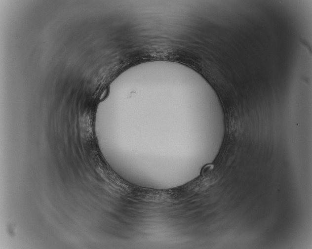 X0000103421106200809261700