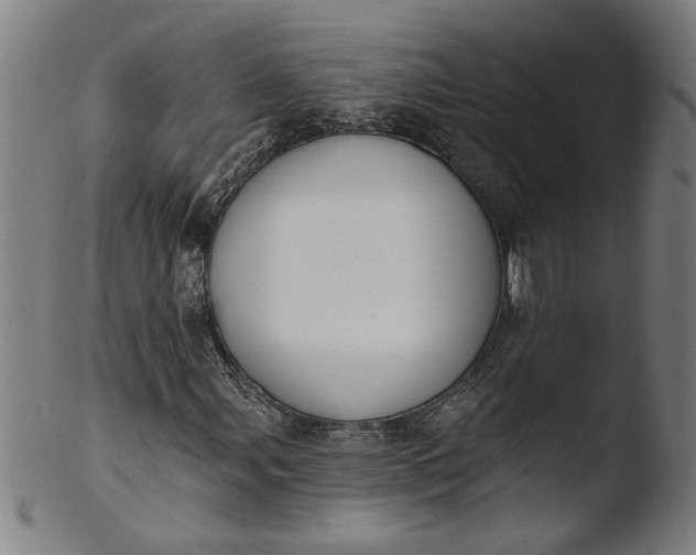 X0000103421107200809261700