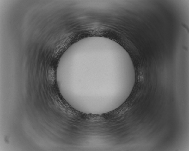 X0000103421108200809261700