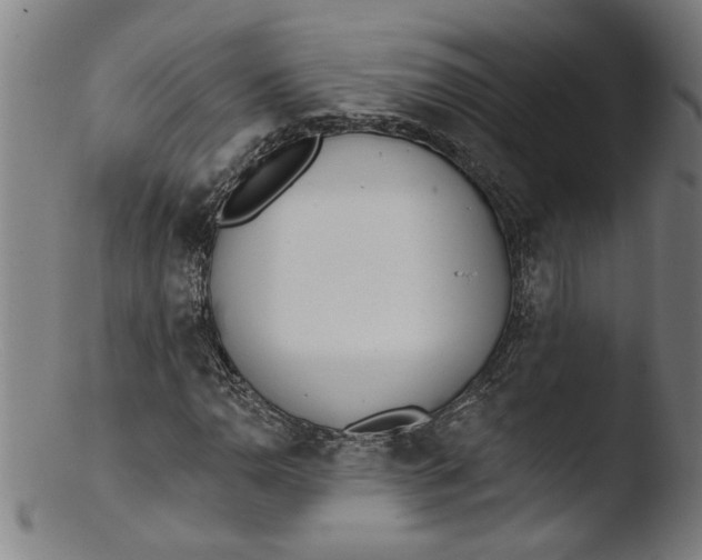X0000103421110200809261700