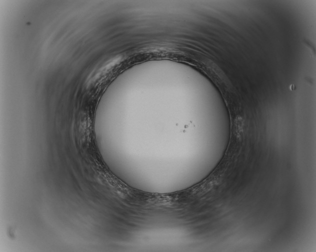 X0000103421111200809261700