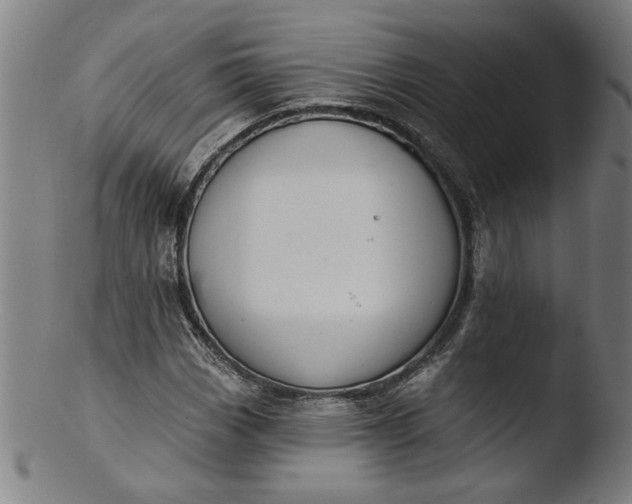 X0000103421113200809261700