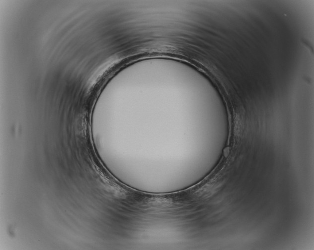 X0000103421115200809261700