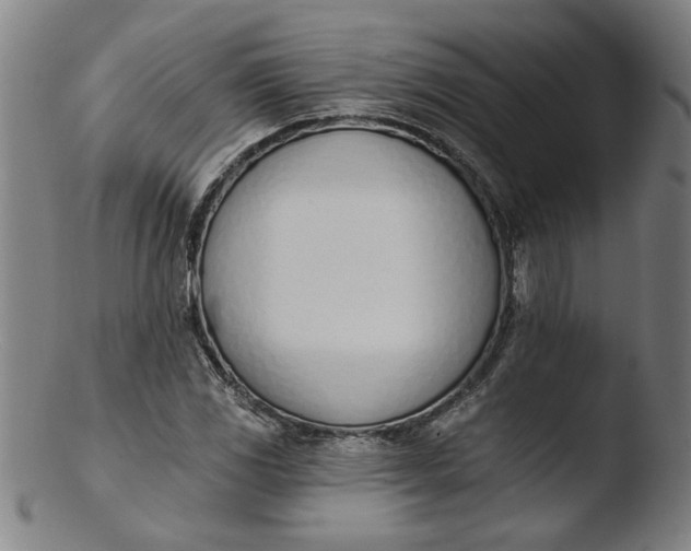 X0000103421117200809261700
