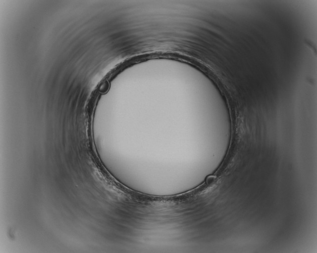 X0000103421118200809261700