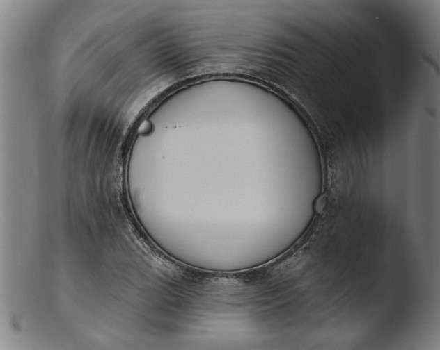 X0000103421119200809261700