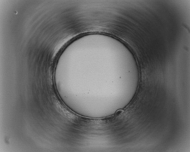 X0000103421120200809261700