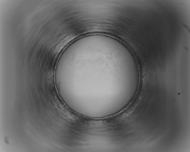 X0000103421121200809261700