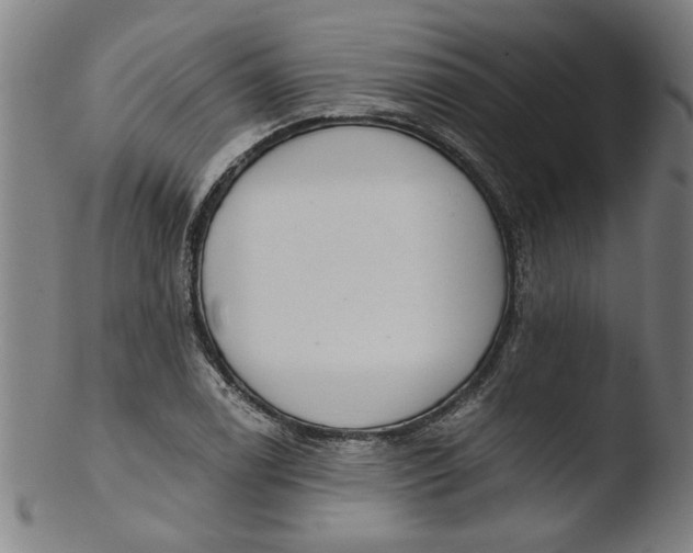 X0000103421122200809261700