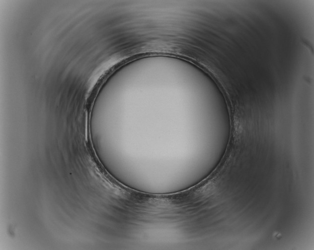 X0000103421123200809261700