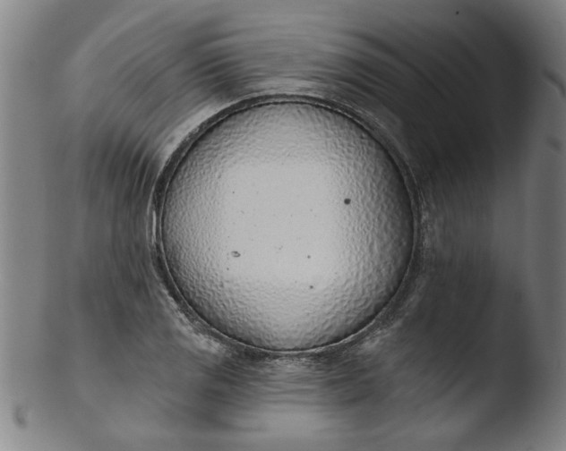 X0000103421125200809261700
