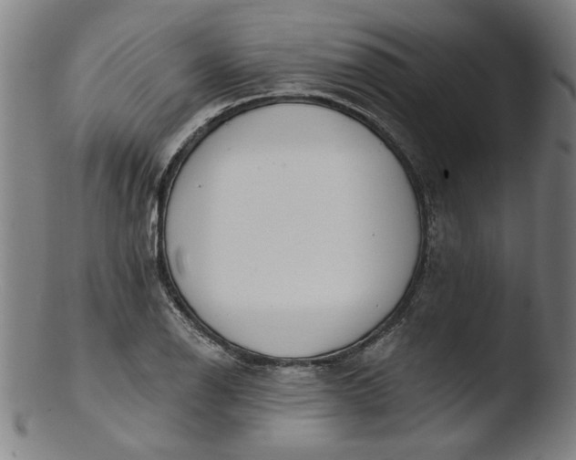 X0000103421126200809261700