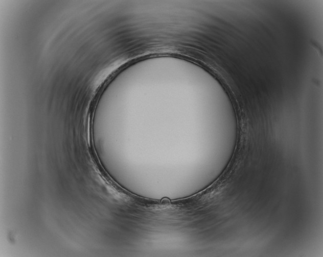 X0000103421127200809261700