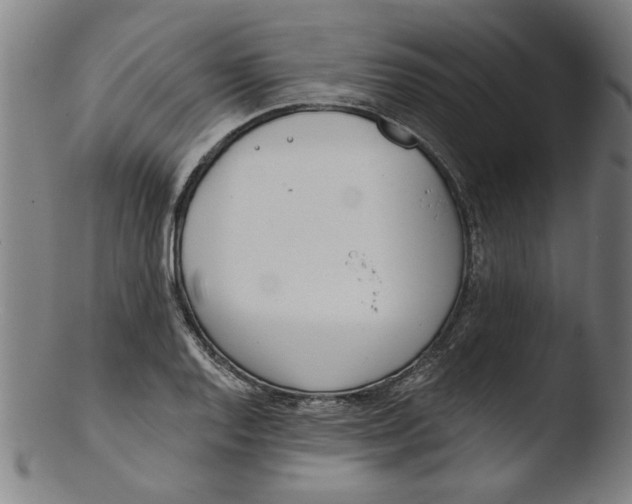 X0000103421128200809261700