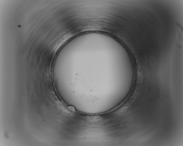 X0000103421129200809261701
