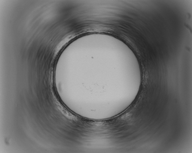X0000103421130200809261701