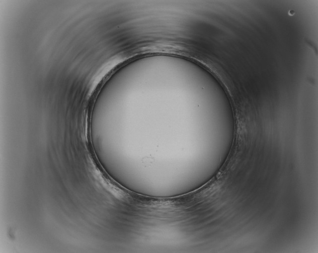 X0000103421131200809261701