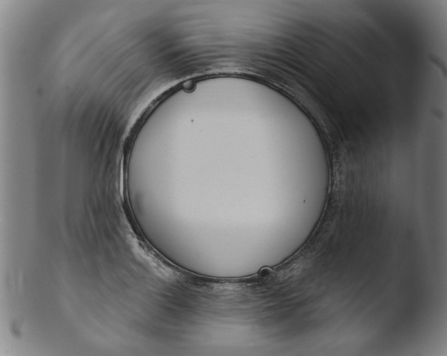 X0000103421132200809261701